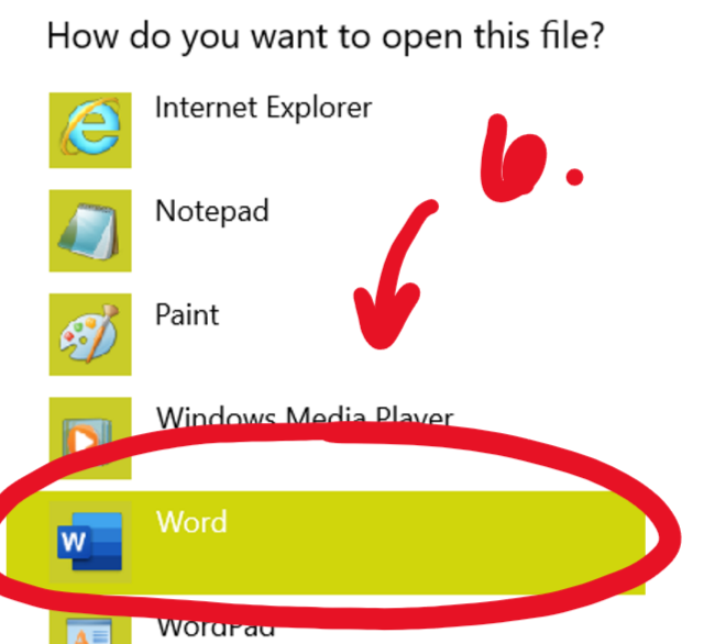 How do you want to open this file? Internet Explorer Notepad Paint Word